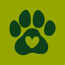 pacote para pets